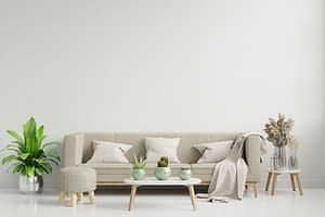A large-sized ornamental plant beside the sofa