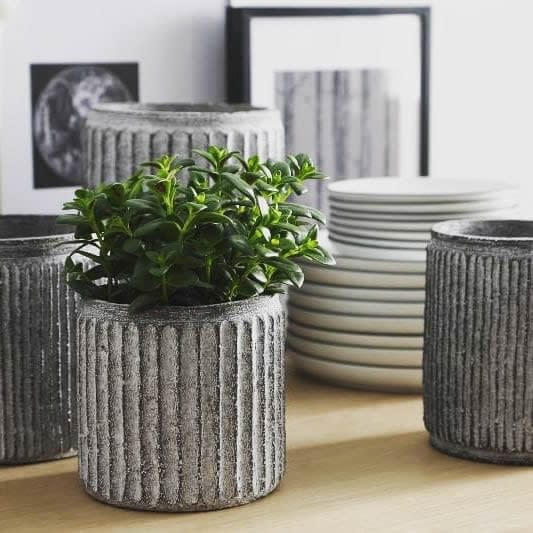 The Best Indoor House Plant Pots – Adding Elegance and Style