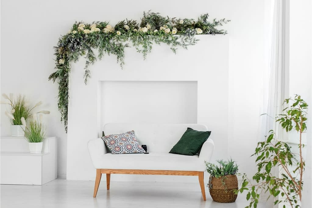 Plant decoration in living room